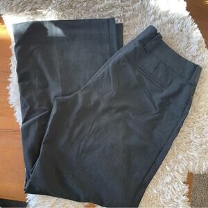 Express Correspondent wife leg dress pants business casual womens size 12